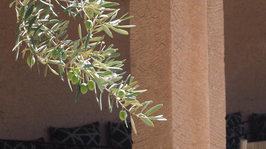 Dar Tifrouine Otel Lalla Takerkoust Dış mekan fotoğraf