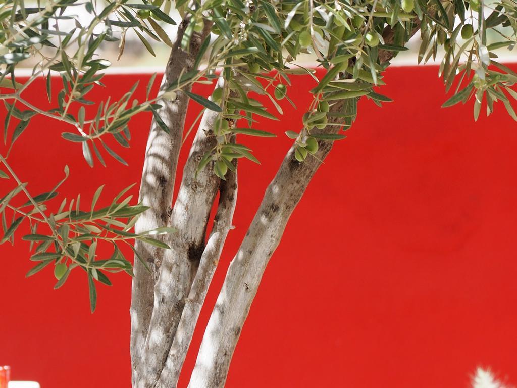 Dar Tifrouine Otel Lalla Takerkoust Dış mekan fotoğraf